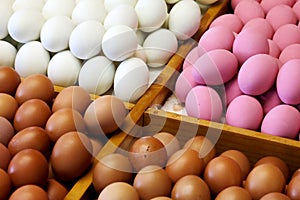 Fresh eggs, pink century eggs and preserved salted eggs sold in market