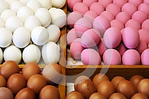 Fresh eggs, pink century eggs and preserved salted eggs sold in market