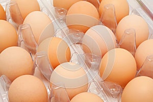 Fresh eggs in a plastic container