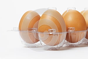 Fresh eggs in plastic tray