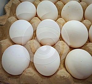 Fresh eggs from the poultry farm