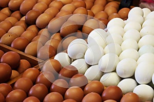 Fresh eggs and preserved salted eggs sold in market