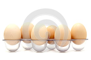 Fresh Eggs in the refrigerator tray.
