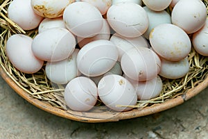 Fresco huevos en paja 