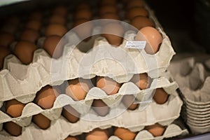 fresh eggs for sale at the supermarket