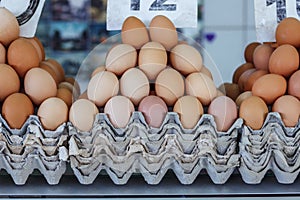 fresh eggs at the Serbian Zeleni Venac farmer's market.