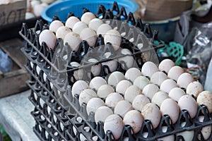 Fresh eggs stall in the fresh Market.