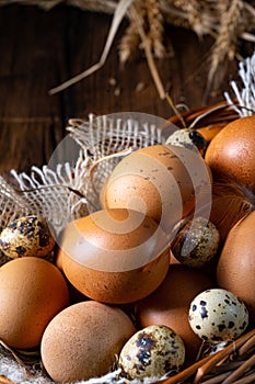 Fresh eggs straight from the farm in a basket