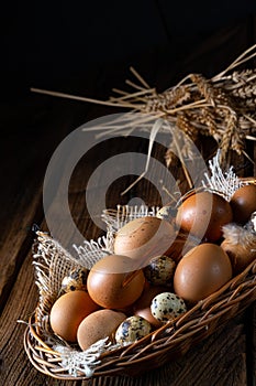 Fresh eggs straight from the farm in a basket