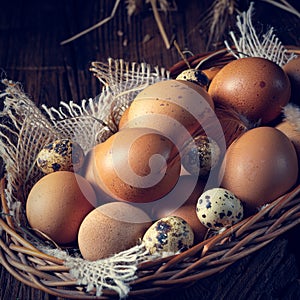 Fresh eggs straight from the farm in a basket