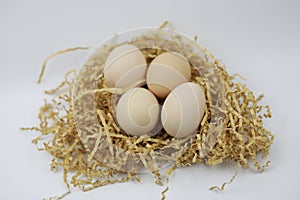 Fresh Eggs on of straw