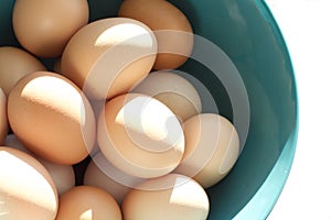 Fresh Eggs in a Teal Bowl