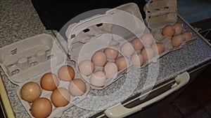 Fresh eggs  trays