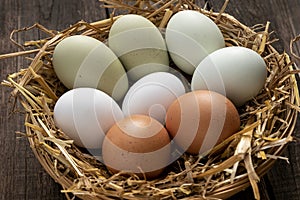 Fresh eggs of various breeds of hen in a basket with straw. Spain