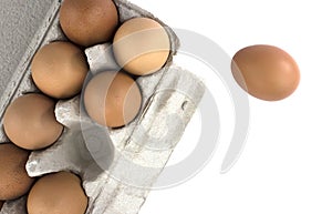 Eggs, chicken eggs on white background