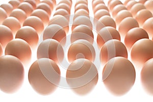 Fresh eggs on a white background,on round