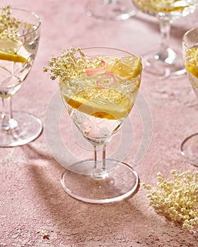 Fresh elder flowers in a glass of lemonade. Herbal or alternative medicine