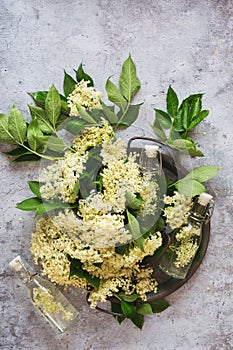 Fresh elderberry blossoms in a metal tray with cordial