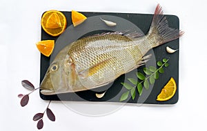 Fresh Emperor Fish decorated with herbs and vegetables on a black pad.White Background