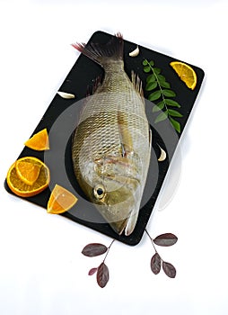Fresh Emperor Fish decorated with herbs and vegetables on a black pad.White Background