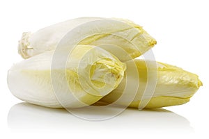 Fresh endive isolated on white