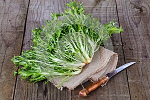 Fresh endive on a rustic wooden background