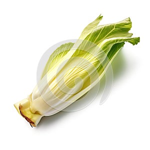 Fresh endive on white background