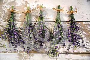 Fresh english lavender bundles hanging on weathered boards