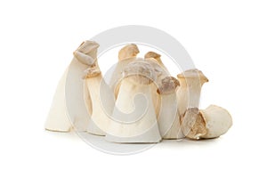 Fresh eringi mushrooms isolated on white