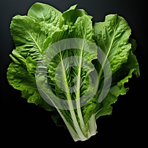 Fresh escarole leaves on dark grey background