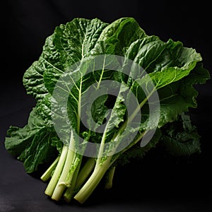 Fresh escarole leaves on dark grey background