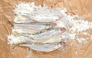Fresh European smelt fish on kraft paper