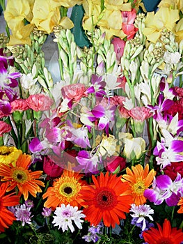 Fresh Exhibition Flowers