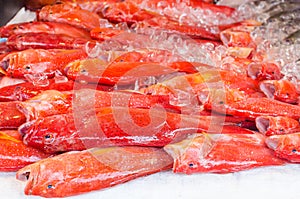 Fresh exotic fish on ice in seafood market on Boracay island