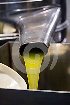 Fresh extra virgin olive oil pouring into tank at a cold-press factory