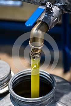 Fresh extra virgin olive oil pouring into tank at a cold-press factory