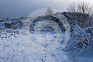 Fresh fallen, untouched snow in Northern Ireland