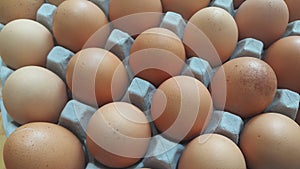 Fresh farm chicken eggs in an egg-carton or egg holder placed in market for sale