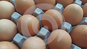 Fresh farm chicken eggs in an egg-carton or egg holder placed in market for sale