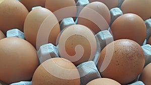 Fresh farm chicken eggs in an egg-carton or egg holder placed in market for sale