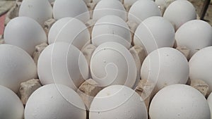 Fresh farm chicken white eggs in an egg-carton placed in market