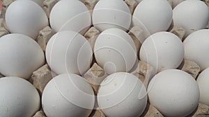 Fresh farm chicken white eggs in an egg-carton placed in market