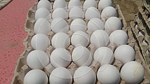 Fresh farm chicken white eggs in an egg-carton placed in market