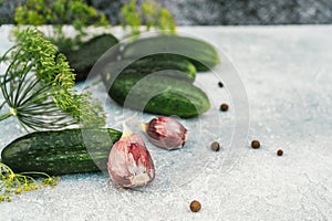 Fresh farm cucumbers ready for pickling for winter organic food 2