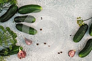 Fresh farm cucumbers ready for pickling for winter organic food 3