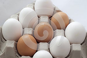 Fresh farm eegs on white