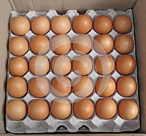 Fresh Farm Eggs