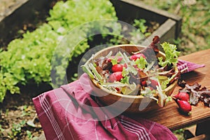 Fresh farm home growth reddish and green salad in wooden plate,