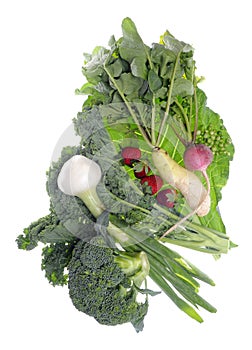Fresh Farm Organic Vegetables