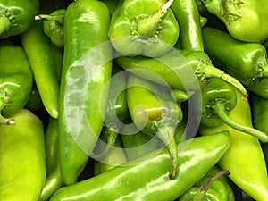 Fresh farm pick green chili peppers